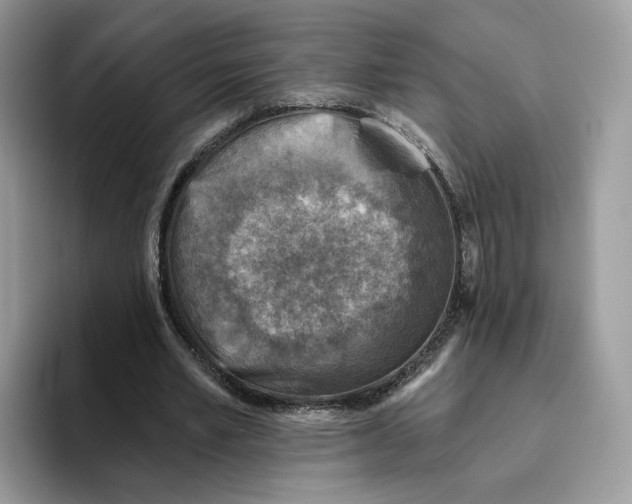 X0000095960581200802011124