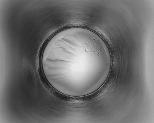 X0000095960582200802011124