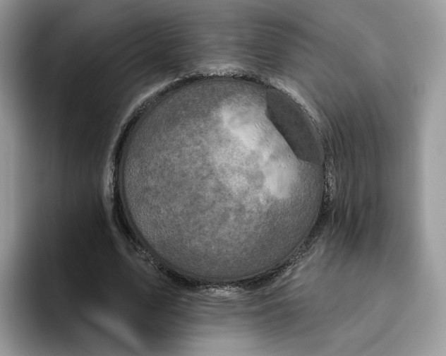 X0000095960583200802011124