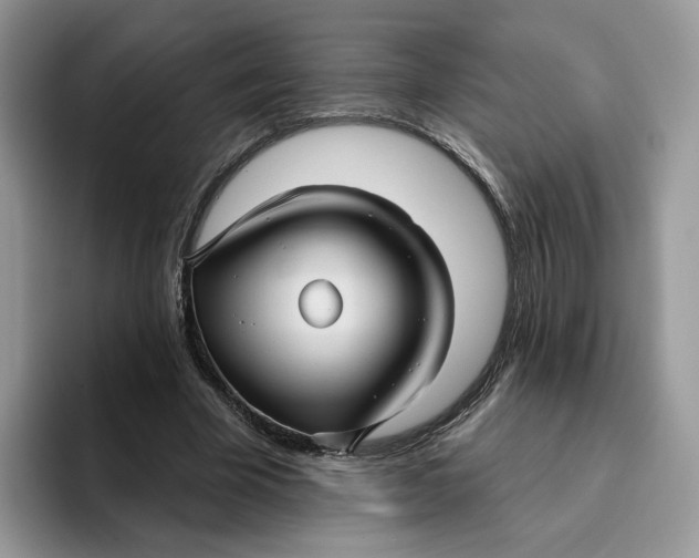 X0000095960585200802011123