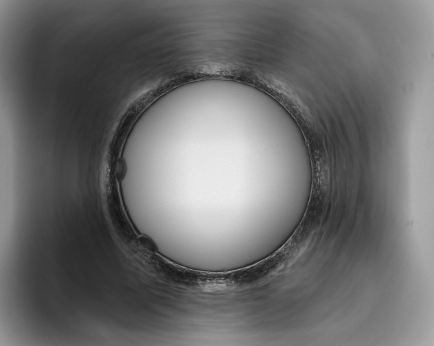 X0000095960587200802011123