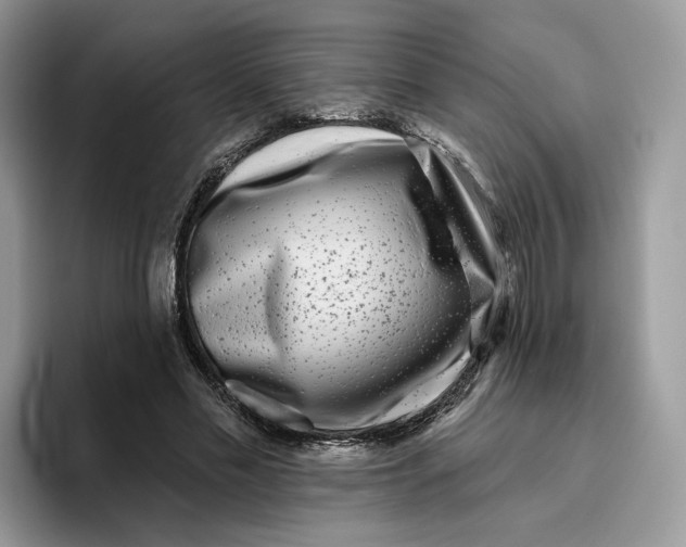 X0000095960589200802011123