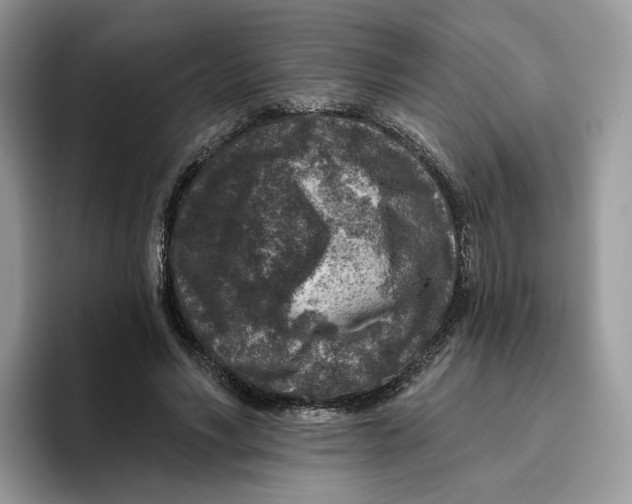 X0000095960590200802011123