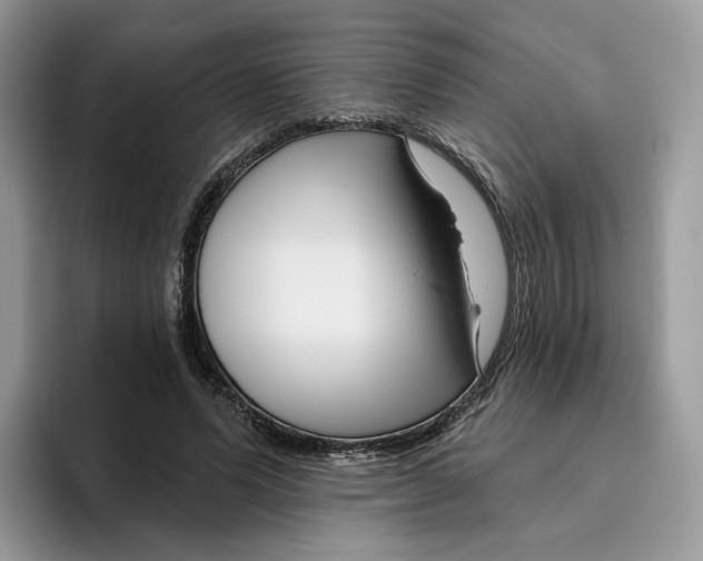 X0000095960591200802011123