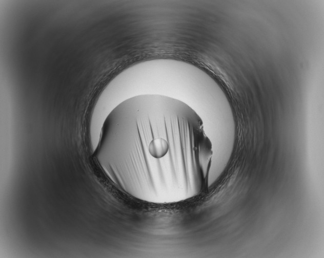 X0000095960593200802011123