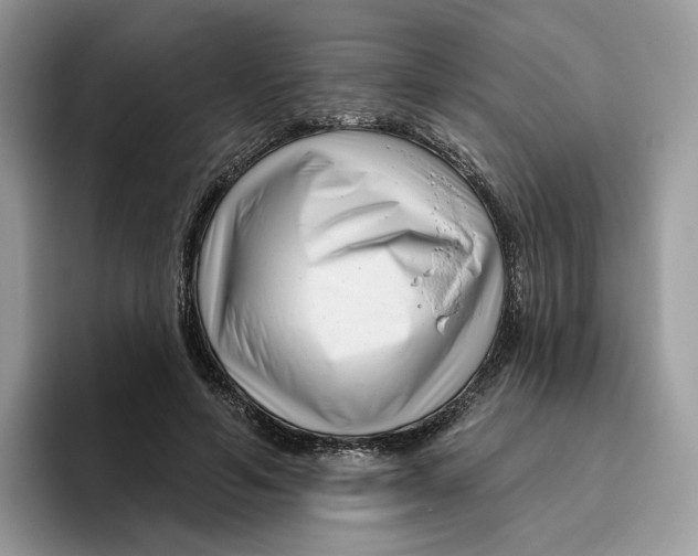 X0000095960594200802011123