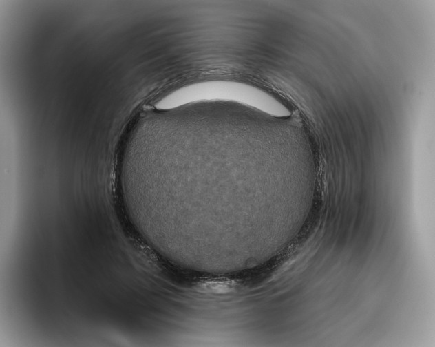 X0000095960595200802011123