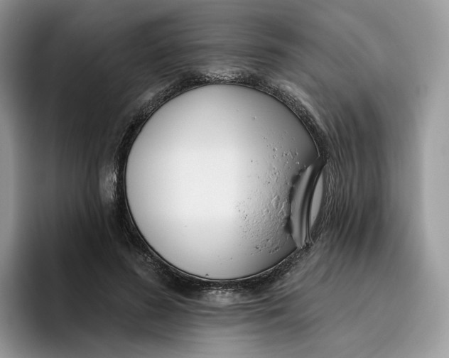 X0000095960596200802011123