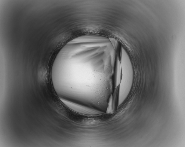 X0000095960597200802011123