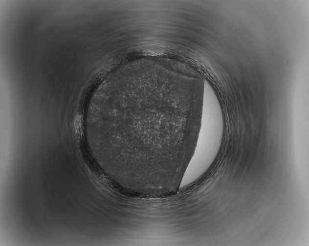 X0000095960598200802011123