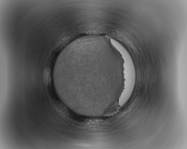 X0000095960599200802011123