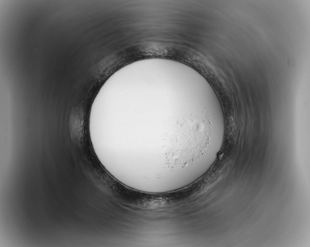 X0000095960600200802011123