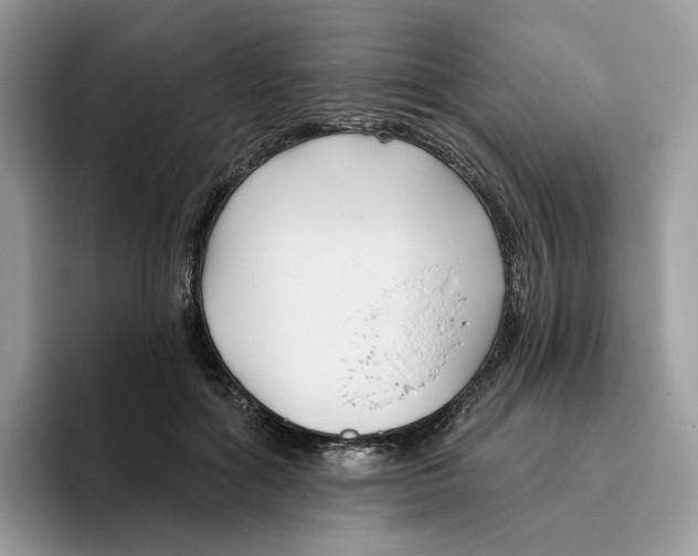 X0000095960602200802011123