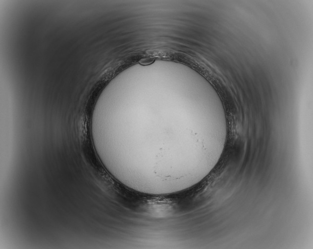 X0000095960603200802011123