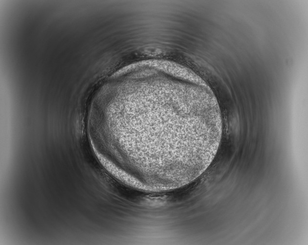 X0000095960606200802011123