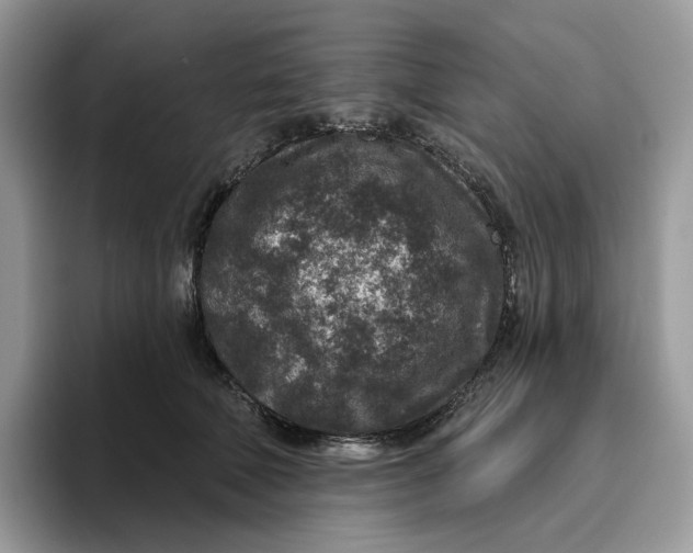 X0000095960610200802011123