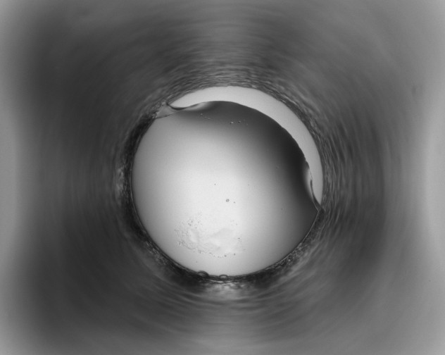 X0000095960611200802011123