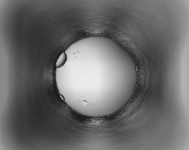 X0000095960612200802011123