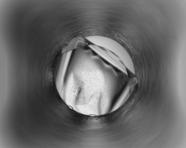 X0000095960613200802011123