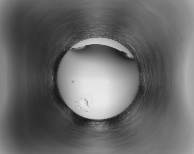 X0000095960615200802011123