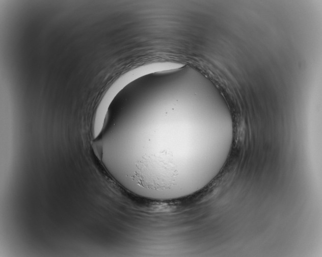 X0000095960616200802011123