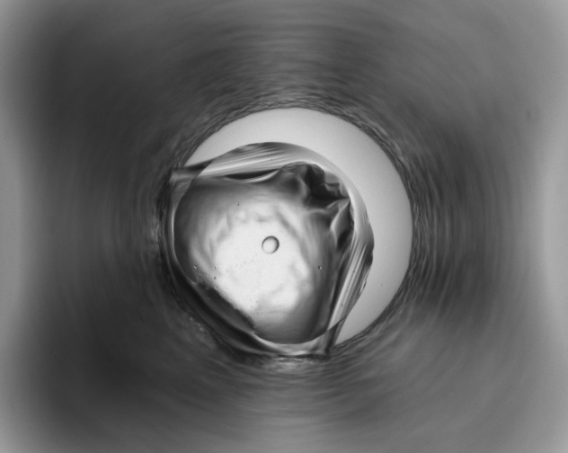 X0000095960617200802011123