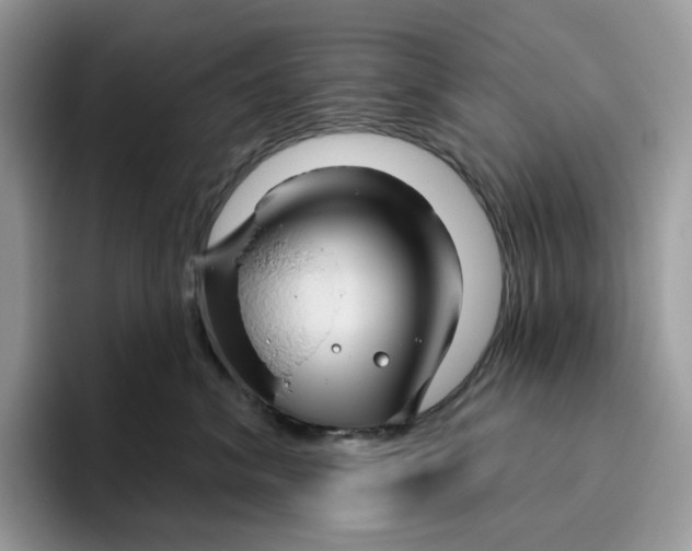 X0000095960620200802011123