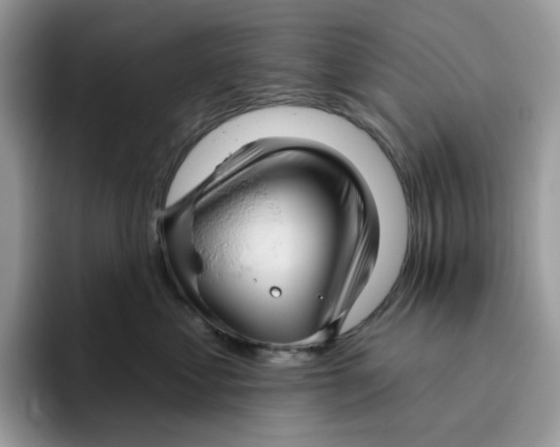 X0000095960621200802011123