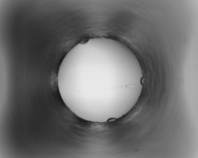 X0000095960624200802011123