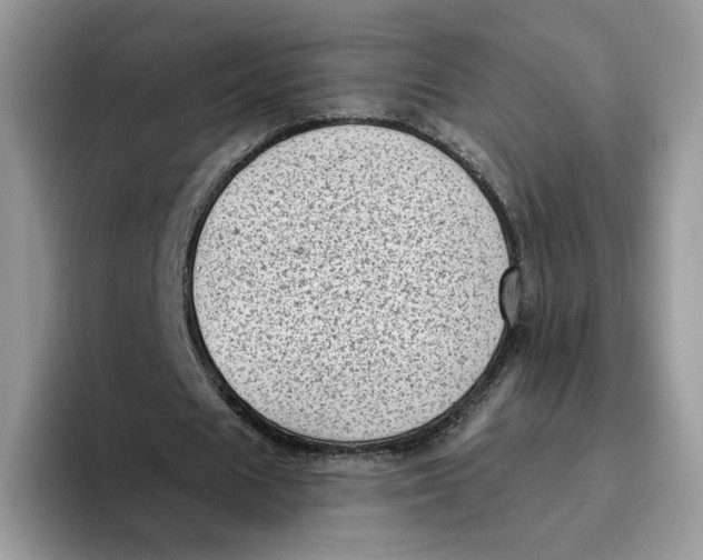 X0000095960625200802011122