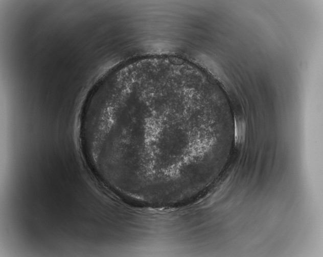 X0000095960627200802011122