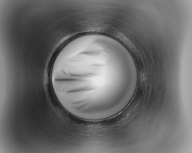 X0000095960628200802011122