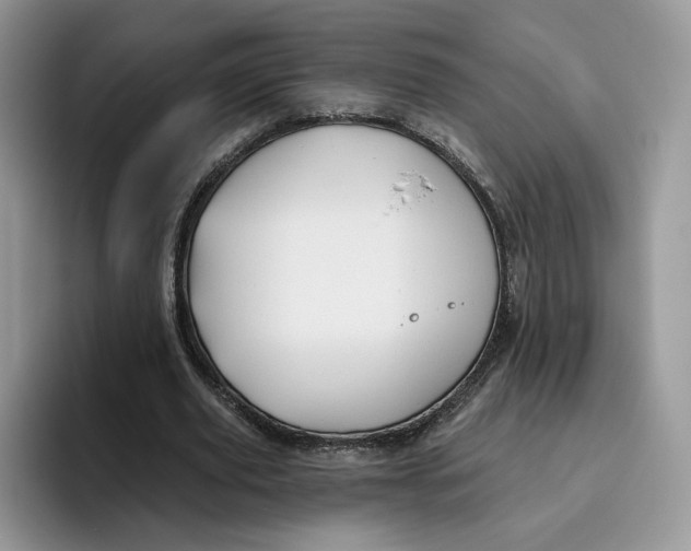 X0000095960629200802011122