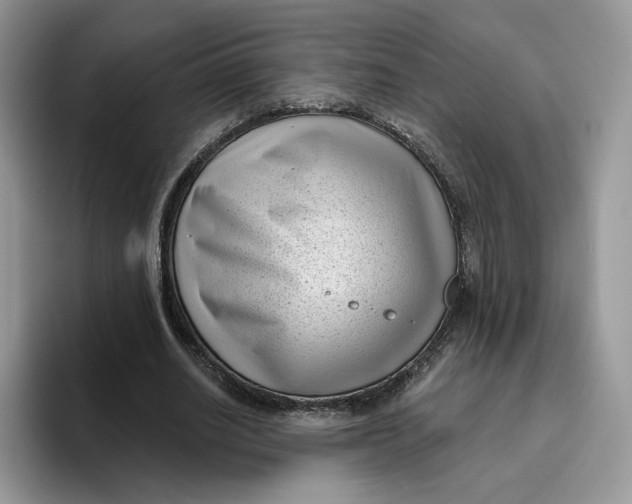 X0000095960630200802011122