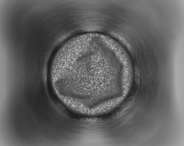 X0000095960631200802011122