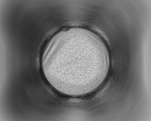 X0000095960633200802011122