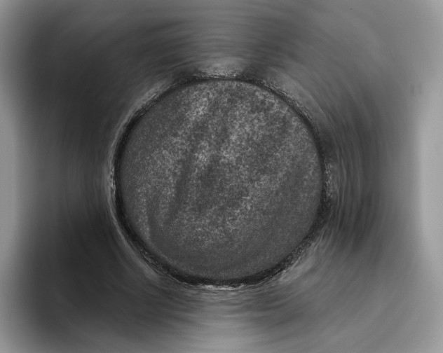 X0000095960634200802011122