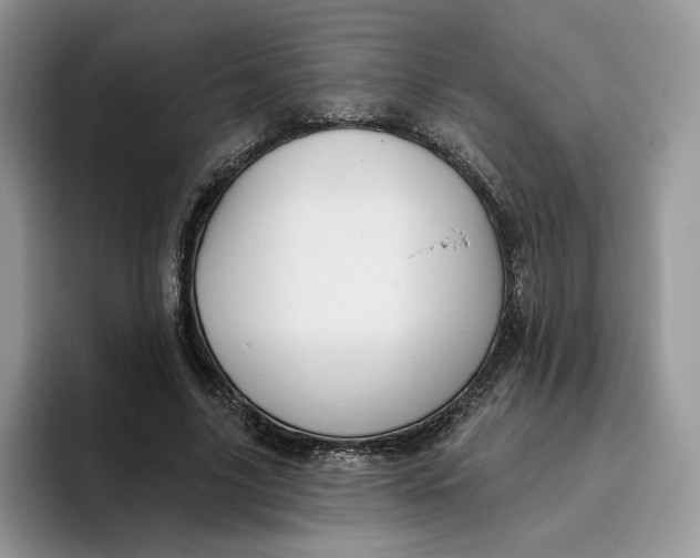 X0000095960635200802011122