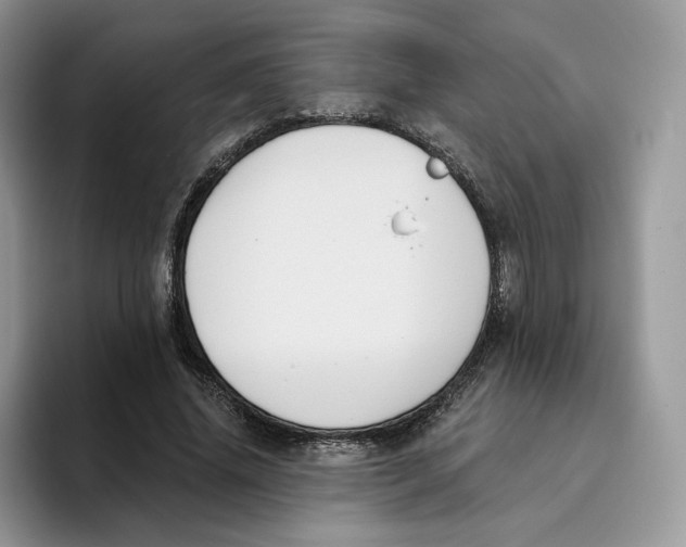 X0000095960636200802011122