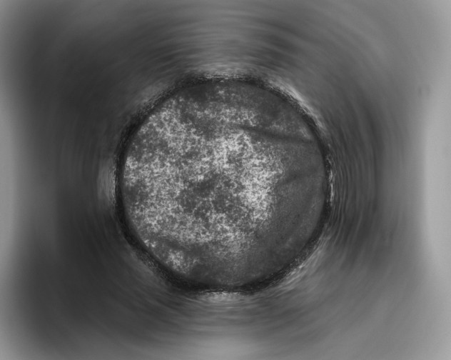 X0000095960637200802011122