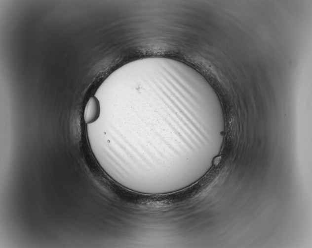 X0000095960638200802011123