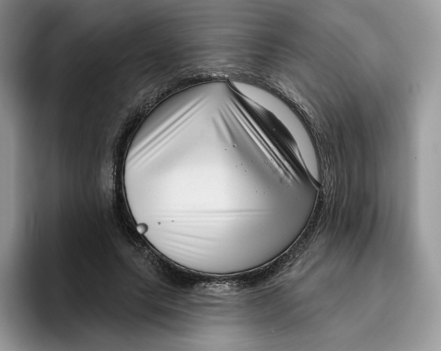 X0000095960639200802011123