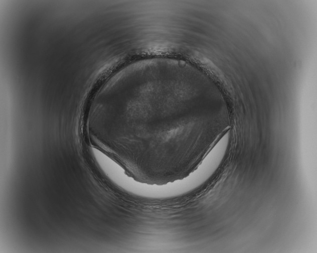 X0000095960640200802011123