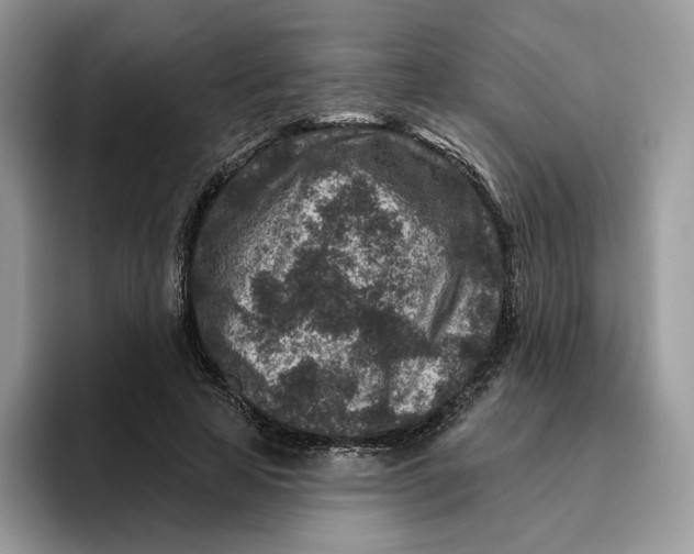 X0000095960641200802011123