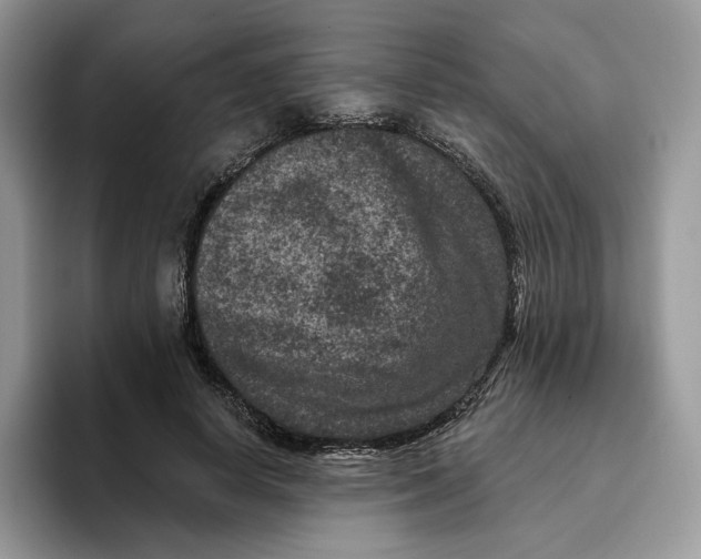 X0000095960642200802011123