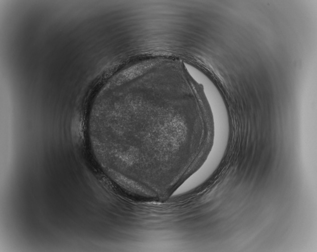 X0000095960643200802011123