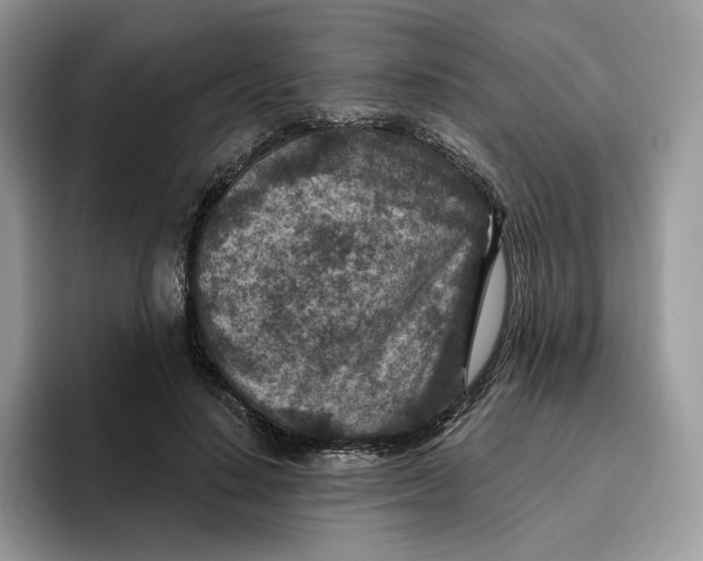 X0000095960644200802011123