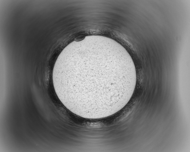 X0000095960645200802011123