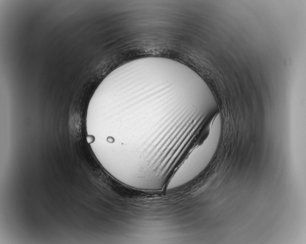 X0000095960646200802011123