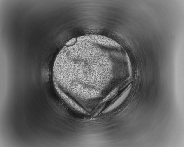 X0000095960647200802011123